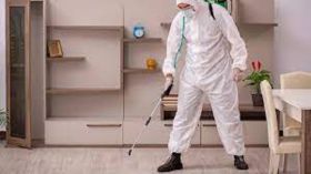 Η σημασία της περιοδικής απεντόμωσης στο σπίτι και την επιχείρηση