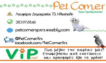 petshopcorner