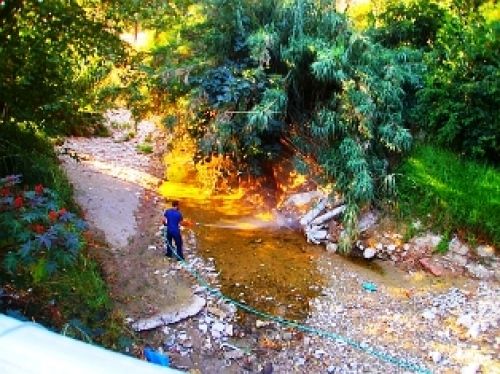 Η μάχη κατά των κουνουπιών