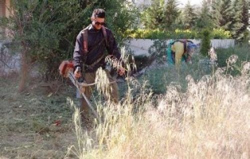 Αποψίλωση των ακάλυπτων χώρων