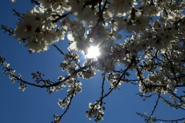 Ο καιρός την Κυριακή 19 Μαρτίου 2017