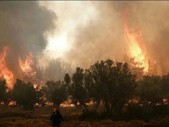 ΓΓΠΠ: Ευνοείται η πρόκληση και η εξάπλωση πυρκαγιών ανά την επικράτεια