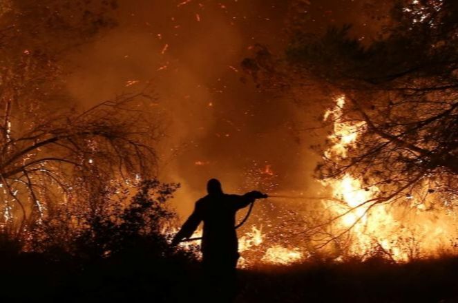 Ενημέρωση  για την πυρκαγιά στην Κεντρική Εύβοια