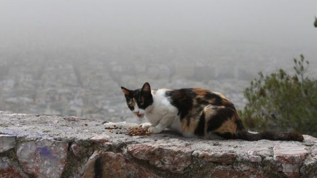 Ο καιρός την Τετάρτη 18 Σεπτεμβρίου 2019