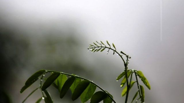 Ο καιρός την Δευτέρα 4 Νοεμβρίου 2019