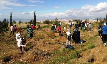 Ο ΣΠΑΥ να δώσει στη Δημοσιότητα τη Μελέτη αναδάσωσης του Υμηττού!