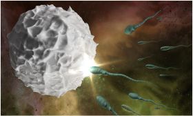 Σπερματέγχυση: κόστος και πότε προτείνεται σε σχέση με την εξωσωματική